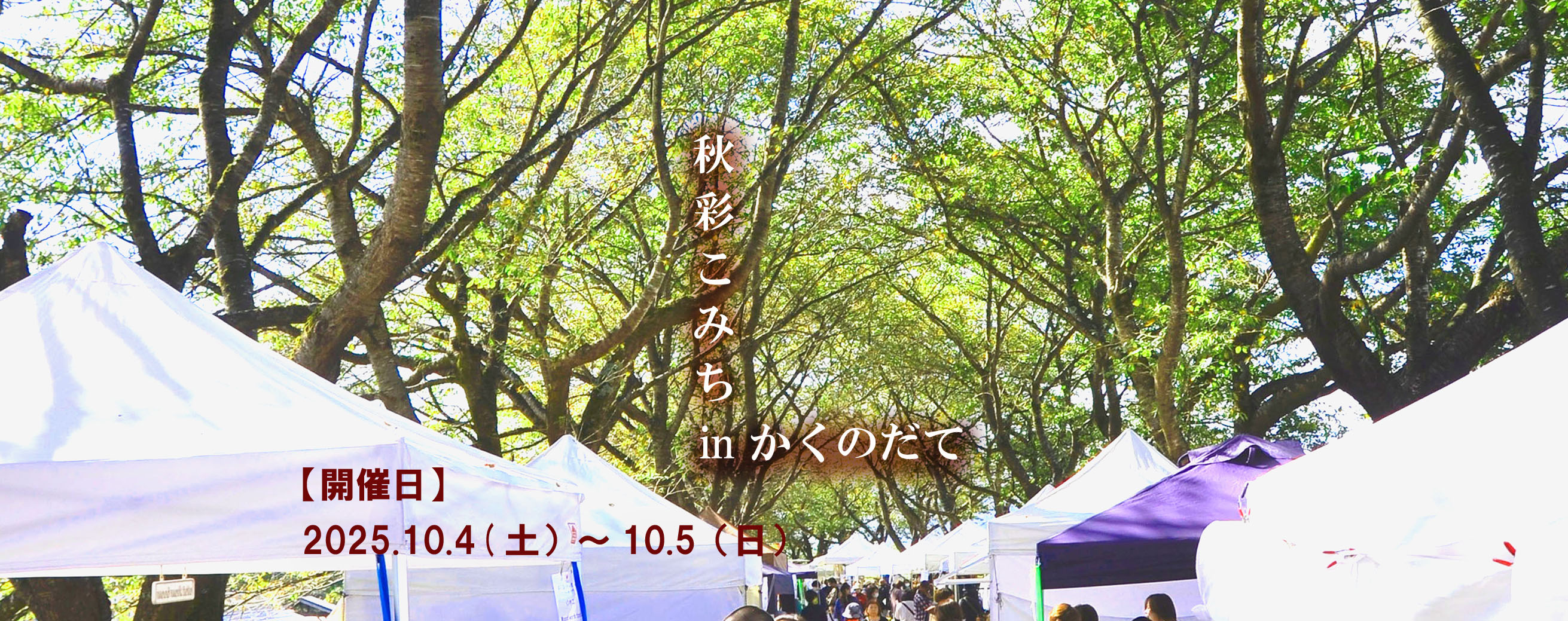 2025秋彩こみち㏌かくのだて
